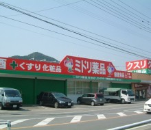 参考仕事例.ミドリ薬品(現マツモトキヨシ)