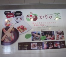シーガイア7