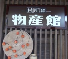 10年前作品検証・村所驛の物産館            (西米良村)