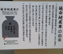 延命地蔵尊(川南町)