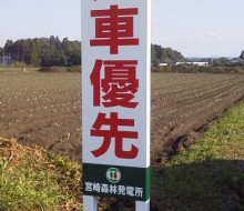 宮崎森林発電所（川南町）