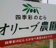 オリーブ農園(高鍋町)