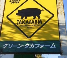グリーンタカファーム(川南町)