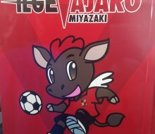 ベンダーラッピング(宮崎市)