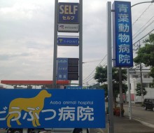 青葉動物病院(宮崎市)