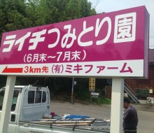 ライチつみとり園(高鍋町)