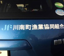 ワンポイントマーキング(川南漁業協同組合)