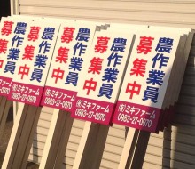 ミキファーム募集看板(川南町)