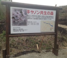 キヤノン共生の森(木城町)