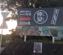 農業生産法人(株)伸昊(西都市)