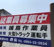 (有)西弘募集看板(新富町)