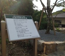 記念樹サイン(川南町)