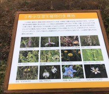 川南湿原サイン(川南町)