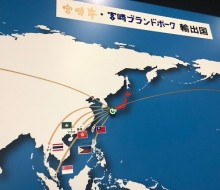ミヤチクMAP(都農町)