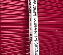 森林づくり標柱(新富町)