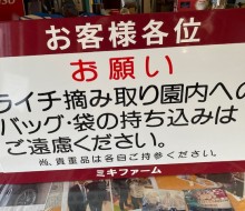 ライチ摘み取り園サイン(新富町)