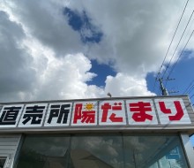 直売所陽だまり(川南町)