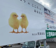 広告看板クリーニング(川南町)