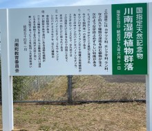 川南湿原(川南町)