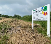 森林パワーホールディングスの森(川南町)
