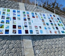 防災避難経路壁面サイン(川南町)