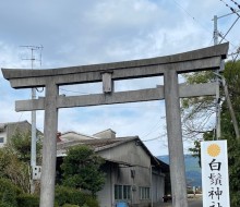 白鬚神社直進2,5km(川南町)