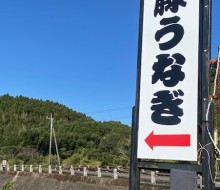 藤うなぎ(西都市)