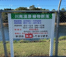 川南湿原植物群落(川南町)