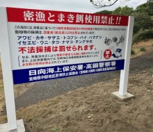 密漁とまき餌使用禁止(川南町)
