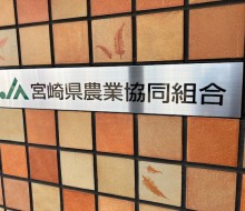 壁面サイン(川南町)