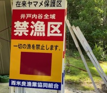 禁漁区サイン(西米良村)