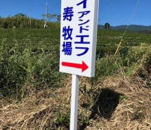 (有)エイアンドエフ案内サイン(川南町)