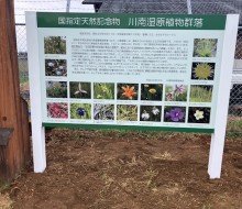 川南湿原植物群落(川南町)